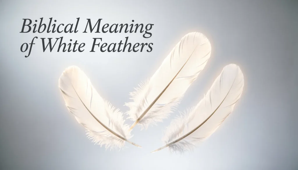 Biblical Meaning of White Feathers