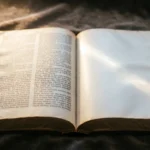 NLT Bible Meaning