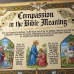 Compassion in the Bible Meaning